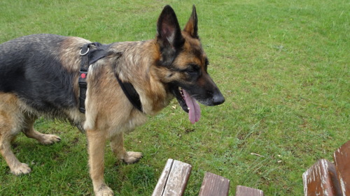 Anika Bild 2